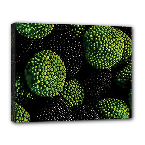 Berry,note, Green, Raspberries Canvas 14  X 11  (stretched) by nateshop