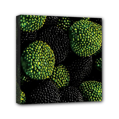 Berry,note, Green, Raspberries Mini Canvas 6  X 6  (stretched) by nateshop