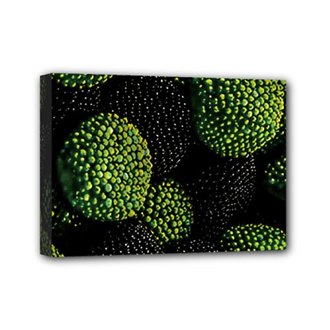 Berry,note, Green, Raspberries Mini Canvas 7  X 5  (stretched) by nateshop