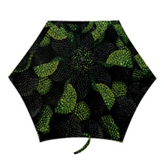 Berry,note, Green, Raspberries Mini Folding Umbrellas by nateshop