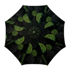 Berry,note, Green, Raspberries Golf Umbrellas by nateshop