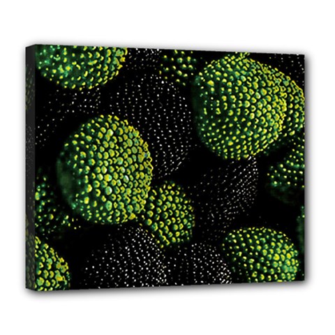 Berry,note, Green, Raspberries Deluxe Canvas 24  X 20  (stretched) by nateshop