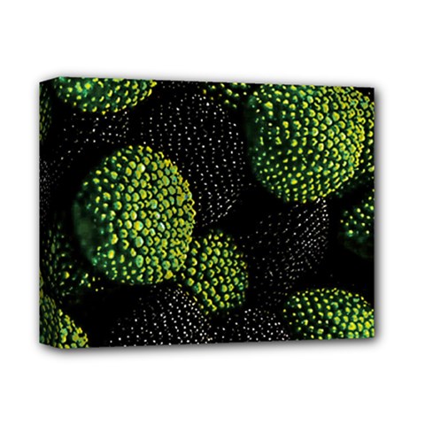 Berry,note, Green, Raspberries Deluxe Canvas 14  X 11  (stretched) by nateshop