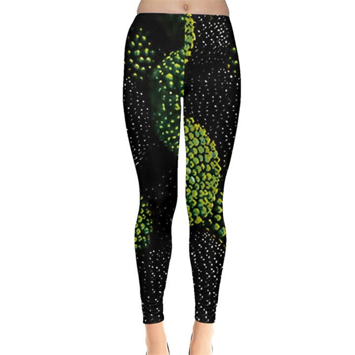 Berry,note, Green, Raspberries Everyday Leggings 