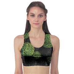 Berry,note, Green, Raspberries Fitness Sports Bra by nateshop