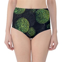 Berry,note, Green, Raspberries Classic High-waist Bikini Bottoms by nateshop