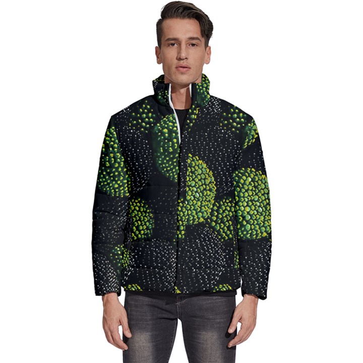 Berry,note, Green, Raspberries Men s Puffer Bubble Jacket Coat