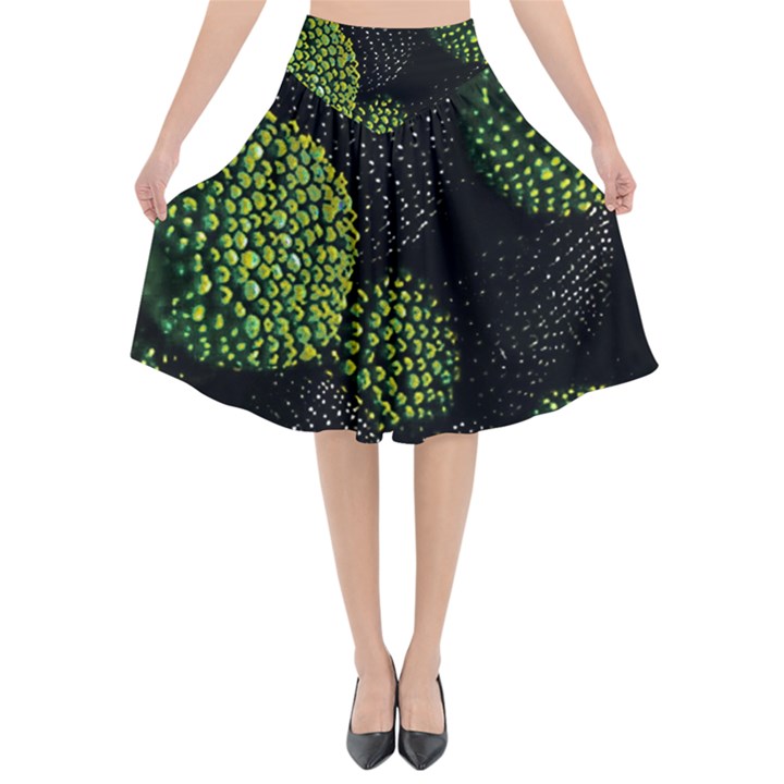 Berry,note, Green, Raspberries Flared Midi Skirt