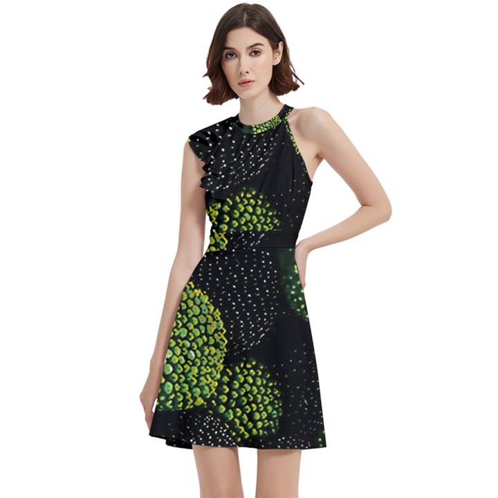 Berry,note, Green, Raspberries Cocktail Party Halter Sleeveless Dress With Pockets