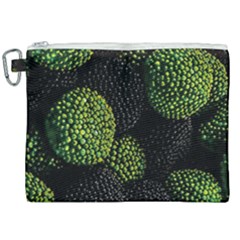 Berry,note, Green, Raspberries Canvas Cosmetic Bag (xxl) by nateshop