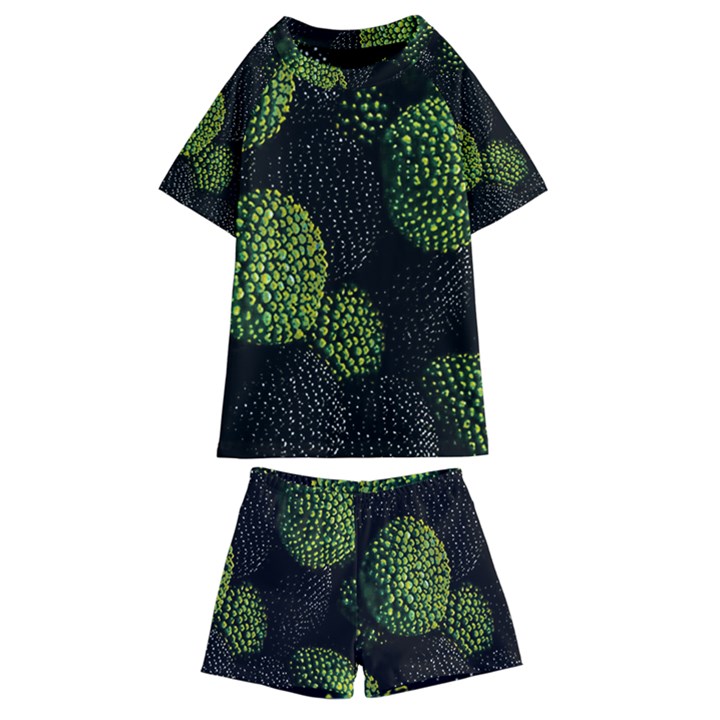 Berry,note, Green, Raspberries Kids  Swim T-Shirt and Shorts Set