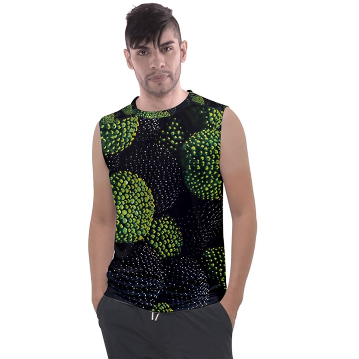 Berry,note, Green, Raspberries Men s Regular Tank Top