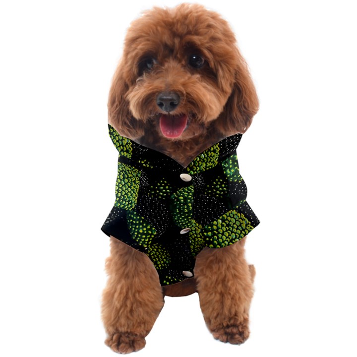 Berry,note, Green, Raspberries Dog Coat