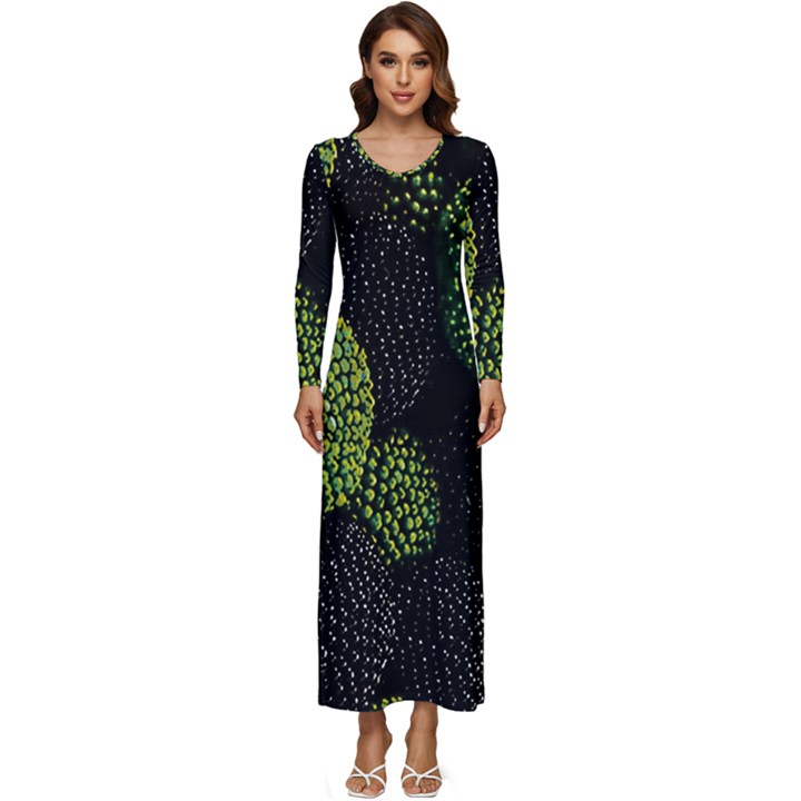 Berry,note, Green, Raspberries Long Sleeve Longline Maxi Dress