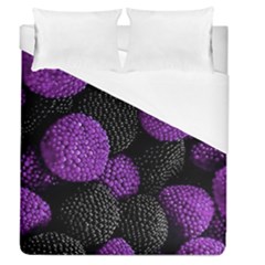 Berry,raspberry, Plus, One Duvet Cover (queen Size) by nateshop