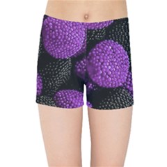 Berry,raspberry, Plus, One Kids  Sports Shorts by nateshop