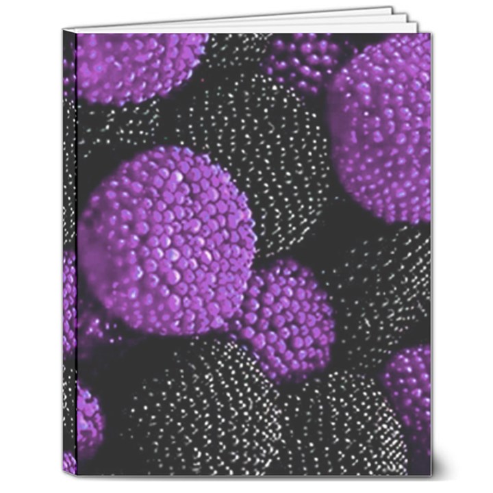 Berry,raspberry, Plus, One 8  x 10  Hardcover Notebook