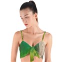 Curved, Hole Woven Tie Front Bralet View1