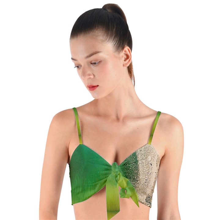 Curved, Hole Woven Tie Front Bralet