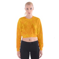 Background-yellow Cropped Sweatshirt