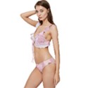 Pink Aesthetic, Clouds, Cute, Glitter, Hello Kitty, Pastel, Soft Low Cut Ruffle Edge Bikini Set View2