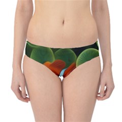 Fish Hipster Bikini Bottoms by nateshop