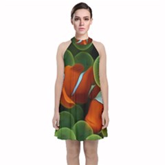 Fish Velvet Halter Neckline Dress  by nateshop