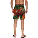 Fish Men s Beach Shorts View4