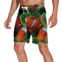 Fish Men s Beach Shorts View2