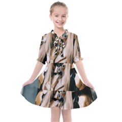 Img 20240116 154225 Kids  All Frills Chiffon Dress by Don007