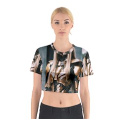 Img 20240116 154225 Cotton Crop Top