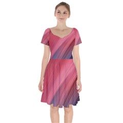 Abstract, Lines Short Sleeve Bardot Dress