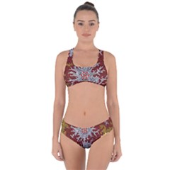 Authentic Aboriginal Art - Bushland Dreaming Criss Cross Bikini Set by hogartharts