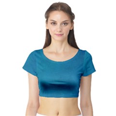 Blue Stone Texture Grunge, Stone Backgrounds Short Sleeve Crop Top by nateshop