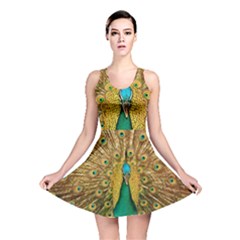 Peacock Feather Bird Peafowl Reversible Skater Dress by Cemarart