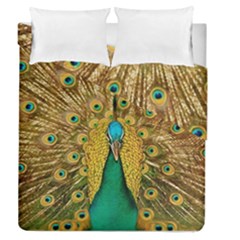 Peacock Feather Bird Peafowl Duvet Cover Double Side (queen Size) by Cemarart