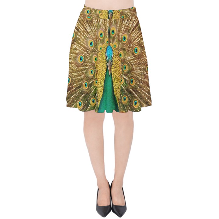 Peacock Feather Bird Peafowl Velvet High Waist Skirt