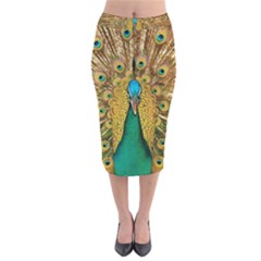 Peacock Feather Bird Peafowl Velvet Midi Pencil Skirt by Cemarart