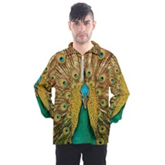 Peacock Feather Bird Peafowl Men s Half Zip Pullover by Cemarart