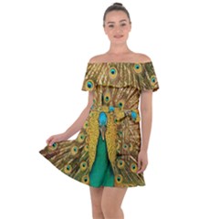 Peacock Feather Bird Peafowl Off Shoulder Velour Dress by Cemarart