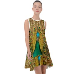 Peacock Feather Bird Peafowl Frill Swing Dress by Cemarart