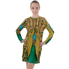 Peacock Feather Bird Peafowl Long Sleeve Hoodie Dress