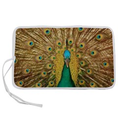 Peacock Feather Bird Peafowl Pen Storage Case (m) by Cemarart