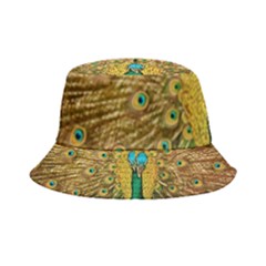 Peacock Feather Bird Peafowl Inside Out Bucket Hat by Cemarart