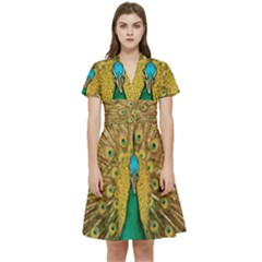 Peacock Feather Bird Peafowl Short Sleeve Waist Detail Dress by Cemarart