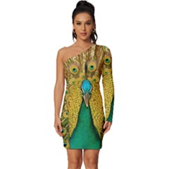 Peacock Feather Bird Peafowl Long Sleeve One Shoulder Mini Dress by Cemarart