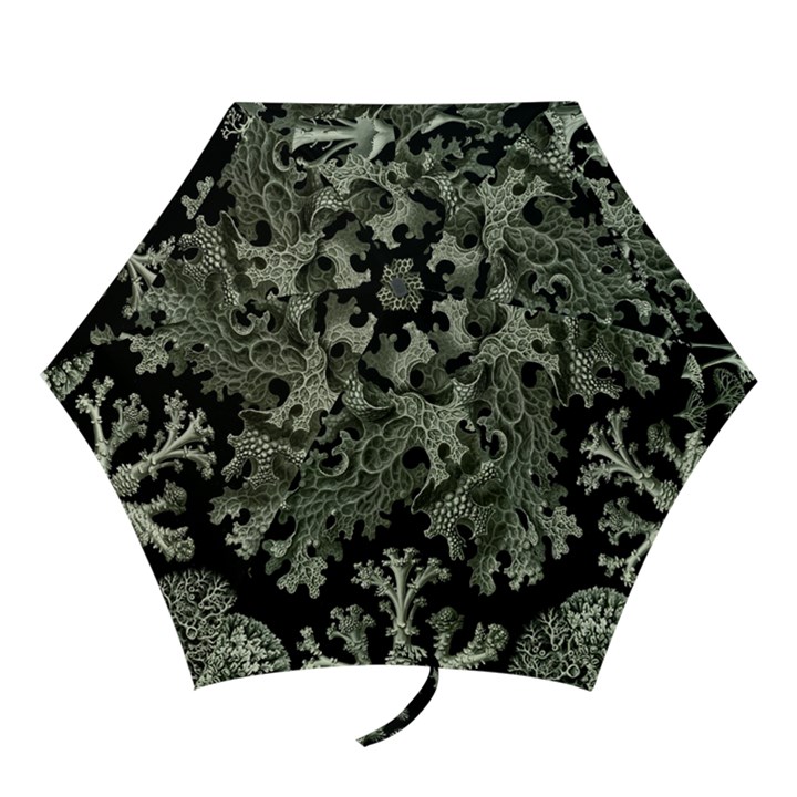 Weave Haeckel Lichenes Photobionten Mini Folding Umbrellas