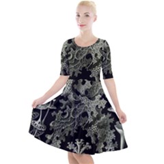 Weave Haeckel Lichenes Photobionten Quarter Sleeve A-line Dress by Cemarart