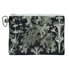 Weave Haeckel Lichenes Photobionten Canvas Cosmetic Bag (xl) by Cemarart