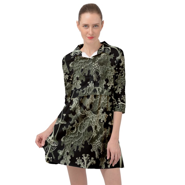 Weave Haeckel Lichenes Photobionten Mini Skater Shirt Dress